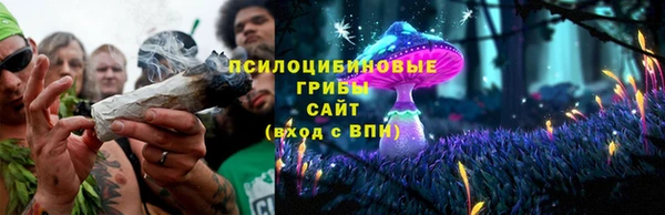 твердый Армянск