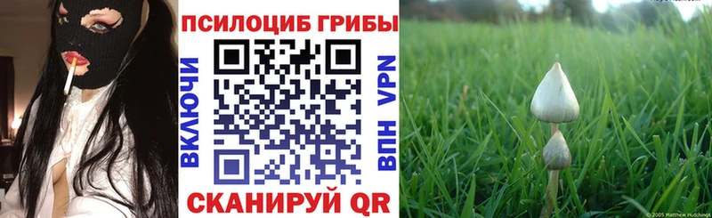 Псилоцибиновые грибы GOLDEN TEACHER  Купить  Горнозаводск 